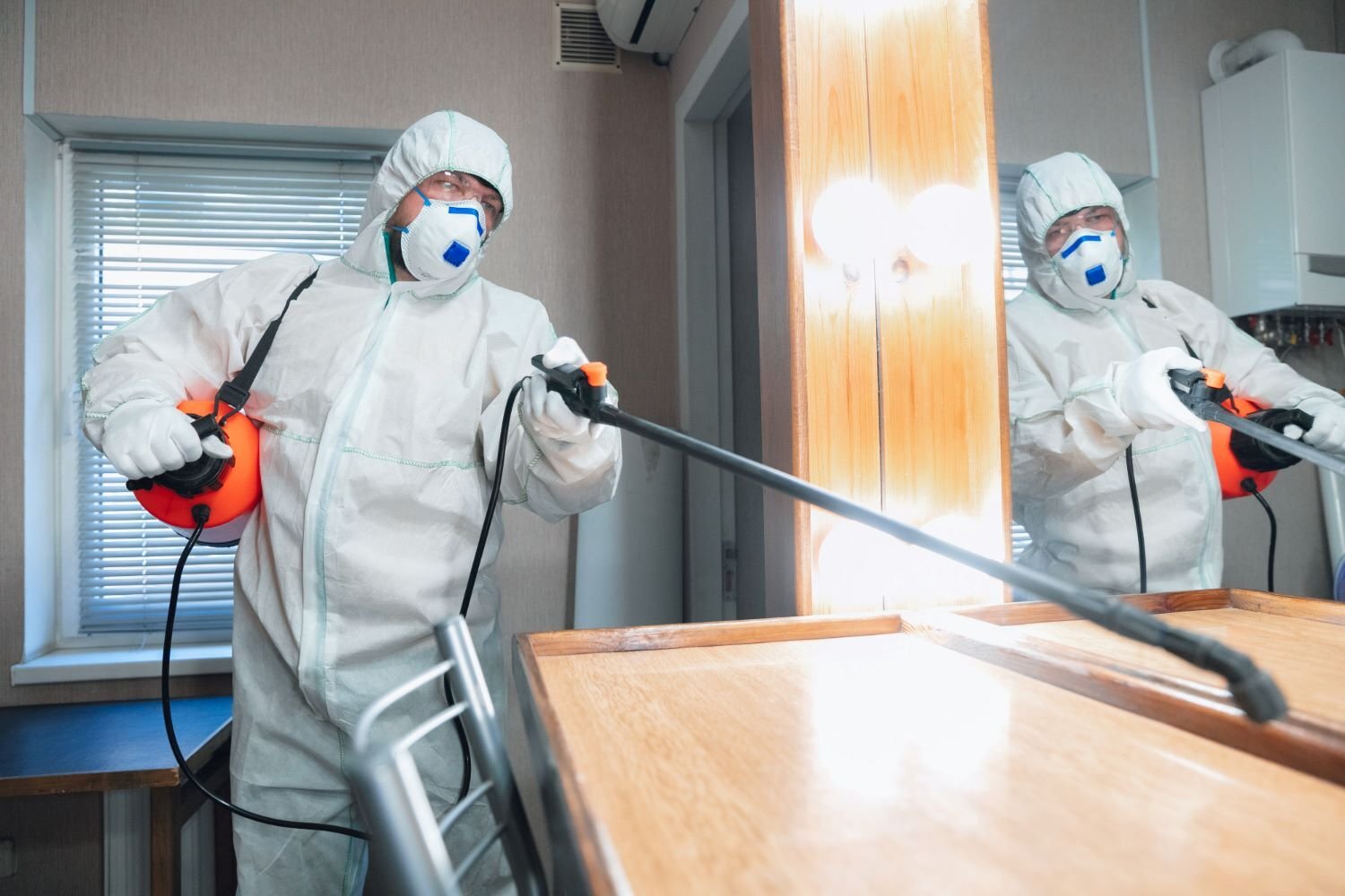 Professional Pest Control Services: Ensuring Peace of Mind