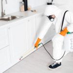Pest Control Sydney: How to Prevent Pest Infestations in Commercial Buildings