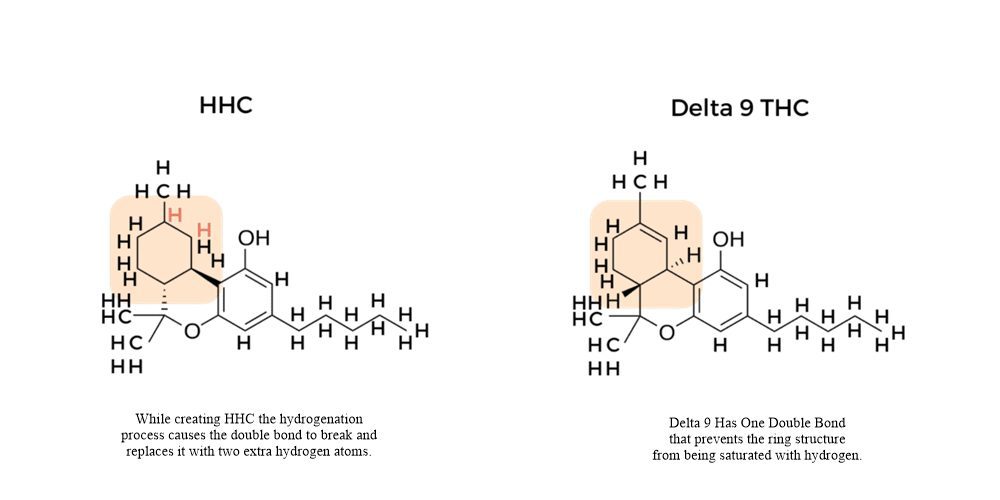 Delta 9 or HHC: Exploring Cannabinoid Choices